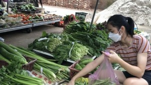 Kết nối tiêu thụ sản phẩm cho doanh nghiệp, hợp tác xã hiệu quả Kết nối tiêu thụ sản phẩm cho doanh nghiệp, hợp tác xã hiệu quả
