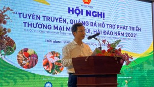 Quảng bá, hỗ trợ phát triển thương mại miền núi, hải đảo Quảng bá, hỗ trợ phát triển thương mại miền núi, hải đảo