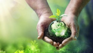 Google Doodle Ngày Trái đất 2022: Tác động của biến đổi khí hậu Google Doodle Ngày Trái đất 2022: Tác động của biến đổi khí hậu