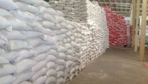 Tạm đình chỉ công tác hàng loạt lãnh đạo Cục Dự trữ Nhà nước do trái quy định 