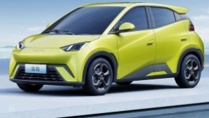 BYD đổi tên Seagull thành Dolphin Surf khi vào thị trường châu Âu