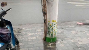 Lý do gì EVN Ninh Bình cắt cáp của VTV?