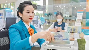 MSVN dự báo NHNN có thể tăng lãi suất điều hành 0,5% trong vài tuần tới 