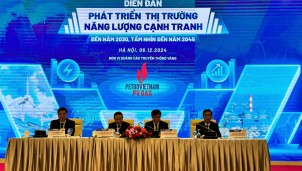 Phát triển thị trường năng lượng cạnh tranh đến năm 2030, tầm nhìn đến năm 2045