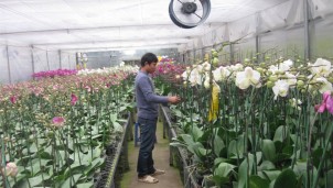 Áp dụng thành công mô hình nông nghiệp công nghệ cao để thích ứng với biến đổi khí hậu Áp dụng thành công mô hình nông nghiệp công nghệ cao để thích ứng với biến đổi khí hậu