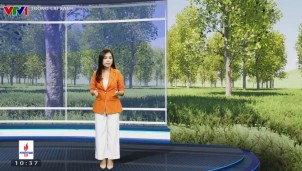 Tương lai xanh: quản lý rừng bền vững, ứng phó với biến đổi khí hậu Tương lai xanh: quản lý rừng bền vững, ứng phó với biến đổi khí hậu