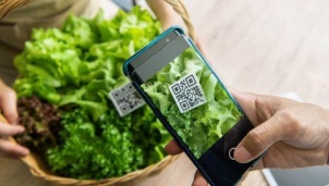 Chuyển đổi số trong truy xuất nguồn gốc: Thời gian kiểm tra từ vài tuần xuống còn vài giây