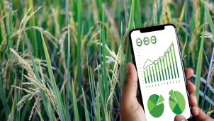 Nông thôn mới thông minh: Chuyển đổi số nhằm thu hẹp khoảng cách về chất lượng dịch vụ với thành thị Nông thôn mới thông minh: Chuyển đổi số nhằm thu hẹp khoảng cách về chất lượng dịch vụ với thành thị