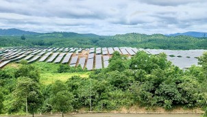 8 tháng năm 2021, EVN huy động 20,31 tỉ kWh nguồn năng lượng tái tạo 8 tháng năm 2021, EVN huy động 20,31 tỉ kWh nguồn năng lượng tái tạo