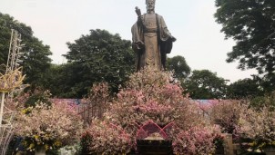 Lễ hội hoa anh đào Nhật Bản - Hà Nội 2020 có những hoạt động gì? Lễ hội hoa anh đào Nhật Bản - Hà Nội 2020 có những hoạt động gì?