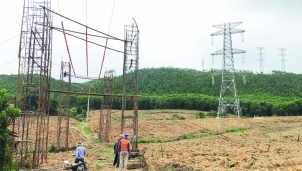 Nghệ An đồng ý chuyển hơn 54ha rừng thực hiện thi công đường dây 500kV đấu nối NMNĐ Nghi Sơn 2 Nghệ An đồng ý chuyển hơn 54ha rừng thực hiện thi công đường dây 500kV đấu nối NMNĐ Nghi Sơn 2