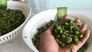 Những ngành hàng nhập khẩu tiềm năng từ Trung Quốc dành cho doanh nhân Việt Nam