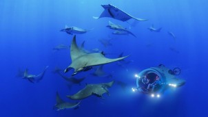 U-Boat Worx ra mắt tàu ngầm nặng 10 tấn di chuyển linh hoạt như sinh vật biển