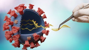 Loại virus mới thống trị các đại dương trên khắp thế giới Loại virus mới thống trị các đại dương trên khắp thế giới