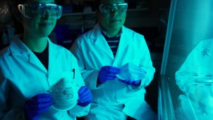 Canada: Một kỹ sư sinh hóa đã tạo ra mặt nạ phủ muối có thể vô hiệu hóa virus coronavirus trong 5 phút Canada: Một kỹ sư sinh hóa đã tạo ra mặt nạ phủ muối có thể vô hiệu hóa virus coronavirus trong 5 phút