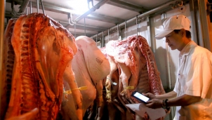 "Cuối năm": Thịt lợn hơi liên tục rớt giá! Tin vui cho các bà nội trợ "Cuối năm": Thịt lợn hơi liên tục rớt giá! Tin vui cho các bà nội trợ