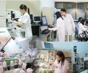 11 nhóm vị trí công tác lĩnh vực khoa học, công nghệ tại chính quyền địa phương phải định kỳ chuyển đổi