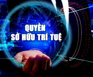 Thủ tướng ra công điện quyết liệt chống vi phạm sở hữu trí tuệ