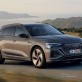 Audi Việt Nam triệu hồi E-tron và Q8 E-tron vì lỗi phanh