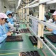 Đề xuất hỗ trợ đến 200 tỷ đồng cho dự án AI và bán dẫn