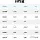 FPT giữ cũng vị thế công ty dịch vụ CNTT lớn nhất Đông Nam Á theo Fortune Southeast Asia 500