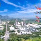 Xi măng Long Sơn: Vững vàng nội lực, lan tỏa giá trị nhân văn đón xuân Bính Ngọ năm 2026