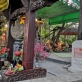 Miếu Đầm - Nơi linh thiêng với truyền thuyết thờ tự thần rắn Miếu Đầm - Nơi linh thiêng với truyền thuyết thờ tự thần rắn