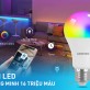 ASANZO lấn sân sang thị trường đèn LED