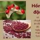 Hồng đậu và chuyện ăn đậu đỏ ngày Thất Tịch