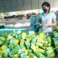 Thái Nguyên: Thương mại điện tử 'chắp cánh' cho doanh nghiệp Thái Nguyên: Thương mại điện tử 'chắp cánh' cho doanh nghiệp