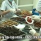 Ứng dụng khoa học công nghệ sản xuất sản phẩm dược liệu OCOP