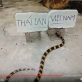 “Rắn tiên tri” dự đoán đội tuyển Việt Nam thắng Thái Lan