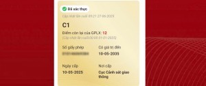 Cách hiển thị bằng lái xe mới trên VNeID sau khi hoàn thành thủ tục online