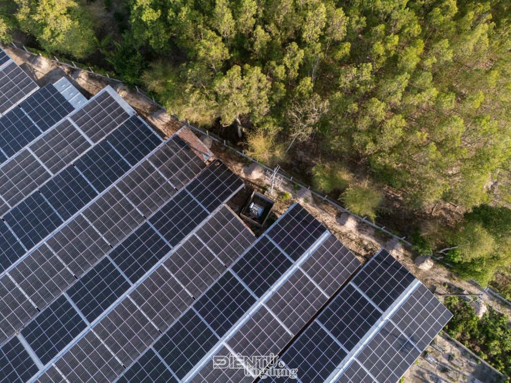 Một mảnh đất, hai mùa gặt