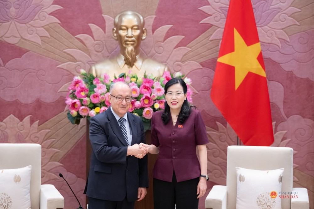Chủ nhiệm Ủy ban Khoa học, Công nghệ và Môi trường Nguyễn Thanh Hải tiếp Chủ tịch Tổ chức Hỗ trợ Đại học Thế giới Đức (WUS) TS. Kambiz Ghawami (Ảnh: 
