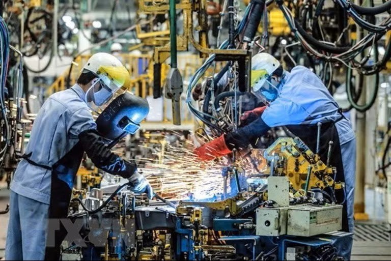 (Ảnh minh họa: Sở Khoa học và Công nghệ Hồ Chí Minh)