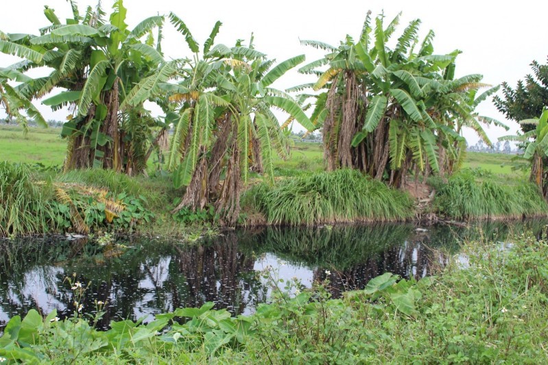 Nước thải của làng nghề Phương La được xem như chất thải nguy hại đến môi trường