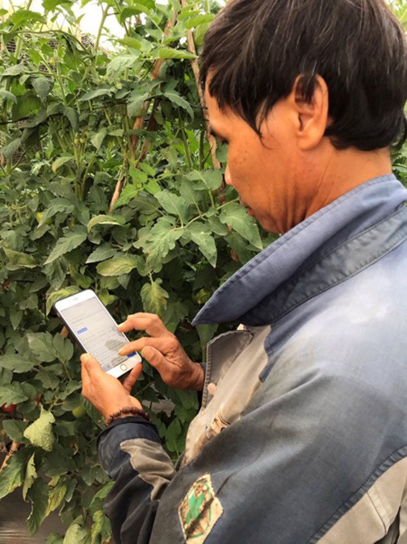 Mô hình sản xuất ứng dụng công nghệ sẽ làm mới nền nông nghiệp truyền thống tồn tại lâu nay tại Việt Nam