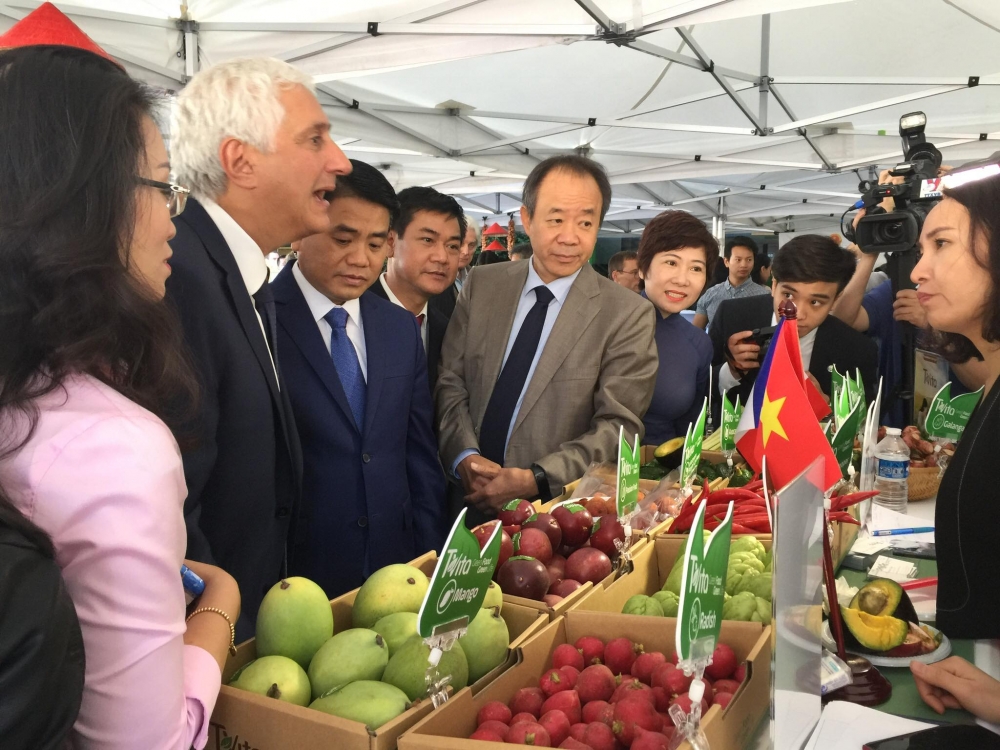 Nông sản Việt chinh phục thị trường "khó tính" châu Âu bằng công nghệ và tận dụng lợi thế của EVFTA