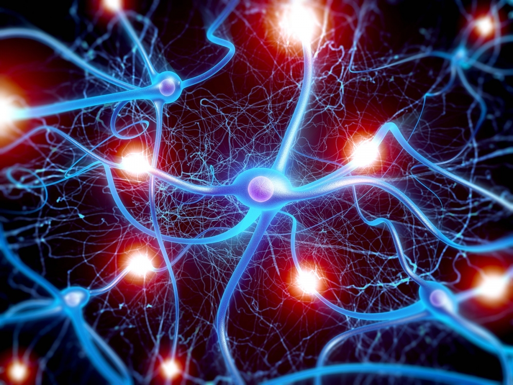 "Quyền nơron" được coi là cơ sở của hành lang pháp lý trong quản lý khai thác não người