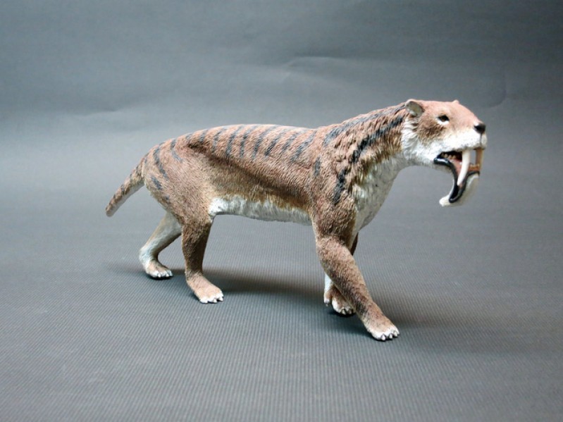 Thylacosmilus là một loài thú răng kiếm có túi đã tuyệt chủng đã từng sống ở Nam Mỹ từ thời Miocene muộn đến Piacenzia.