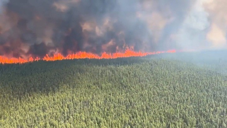 Nguyên nhân cháy rừng không chỉ đơn thuần do biến đổi khí hậu