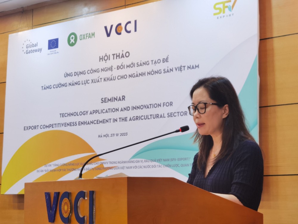 Trần Thị Lan Anh, Tổng Thư ký Liên đoàn Thương mại và Công nghiệp Việt Nam (VCCI)