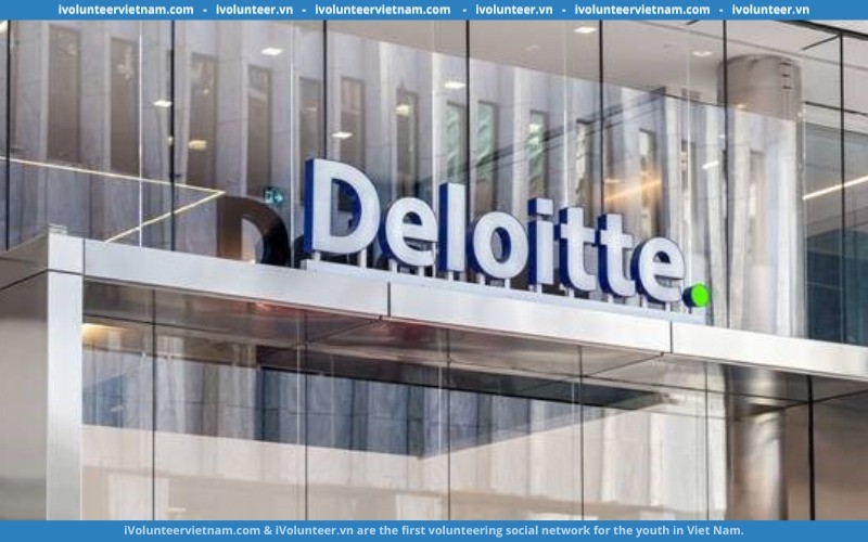 Nhân viên Deloitte Việt Nam từng kiểm toán SCB bị đình chỉ tư cách