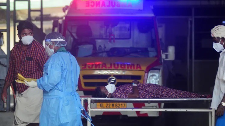 virus Nipah gây chết người