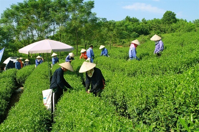 Masan tích cực tiết giảm năng lượng, sử dụng năng lượng tái tạo