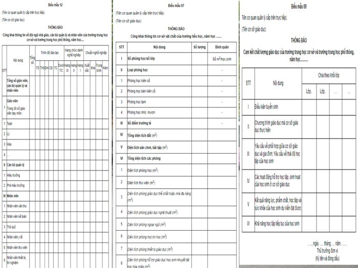 Trường Phổ thông Quốc tế Việt Nam 