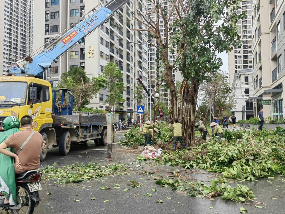 Lý giải việc hàng loạt cây xanh tại Vinsmart ngã đổ sau bão số 3