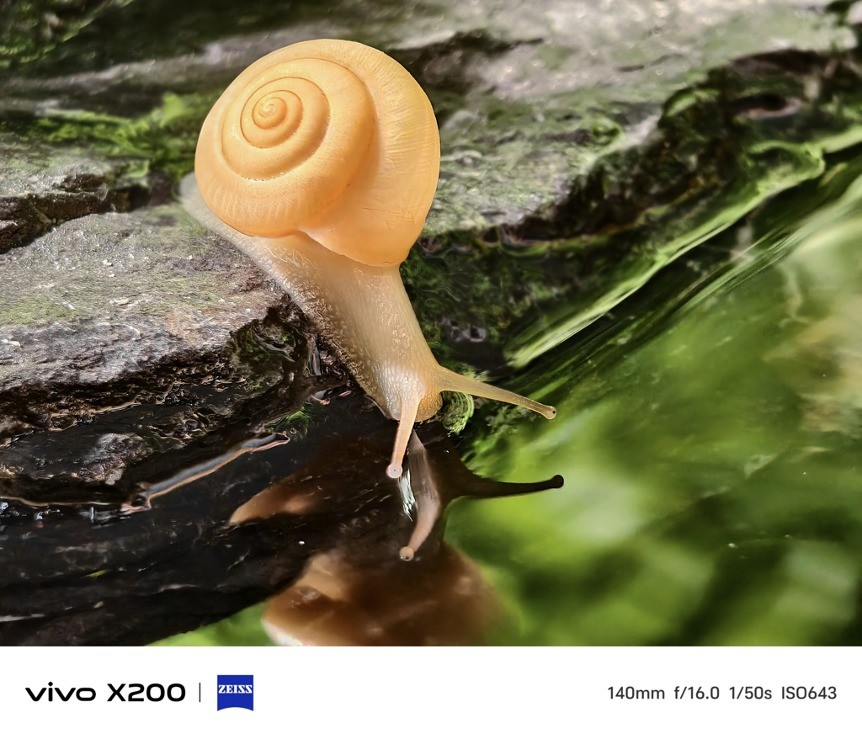 vivo X200 Series chính thức ra mắt tại Trung Quốc