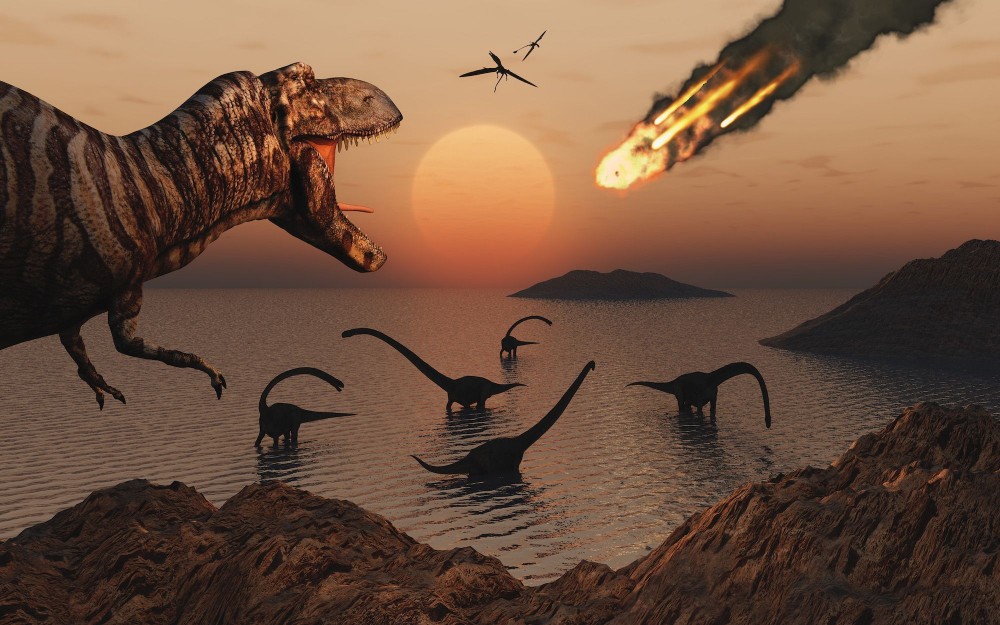 Cuộc đại tuyệt chủng đầu tiên diễn ra vào cuối kỷ Creta dưới tác động của một tiểu hành tinh va chạm với Trái Đất